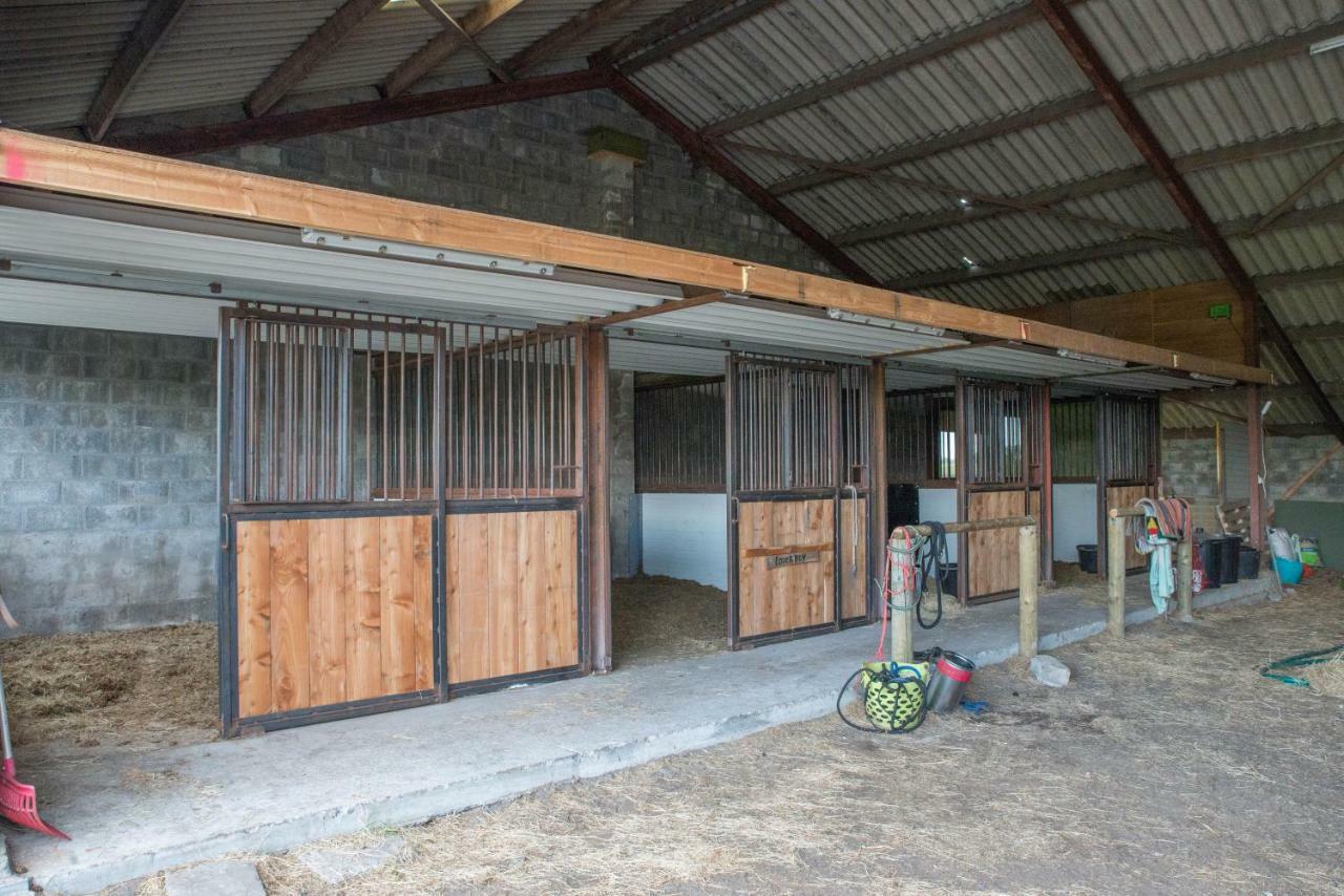 Boeren Biezen Bed Landelijk Villa Exterior foto